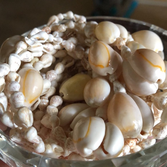 Vintage shell plant hanger/hanging planter - Picture 8 of 9